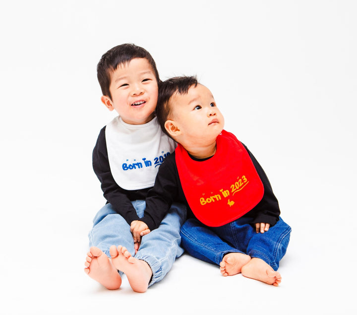 Two young brothers sitting together, one wearing a Born In 2023 Year of the Rabbit bib, the other wearing a Born In 2018 bib.