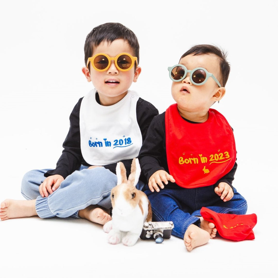 Two cool little brothers wearing sunglasses and a Born In 2023 year of the Rabbit bib and a Born in 2018 bib, playing with a toy rabbit.