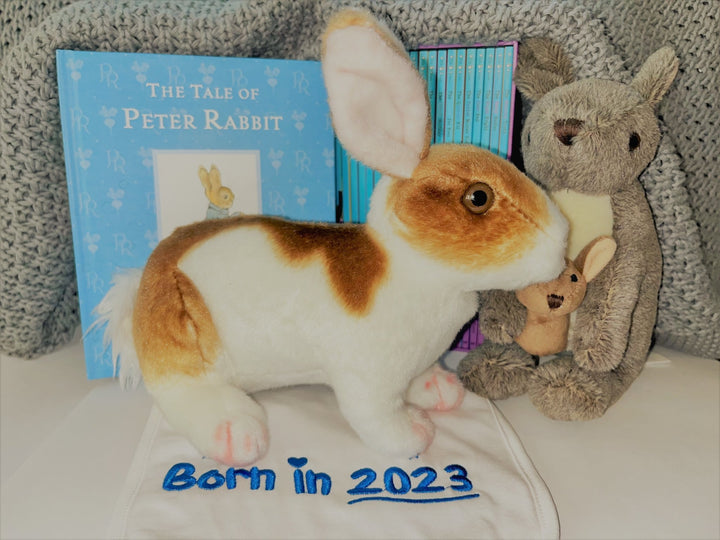 A little toy rabbit sits on a Born In 2023 baby bib and infront a some children's books and a toy kangaroo.