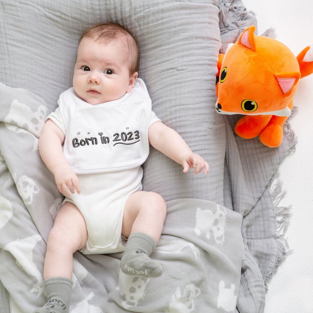 Born In 2023 Baby Socks - FoxE Baby